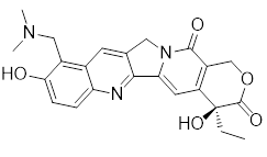 拓撲替康