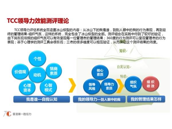 N-[(S)-2-(叔丁氧羰基氨基)-4-苯基丁?；鵠-L-亮氨酰-L-苯丙氨酸甲酯